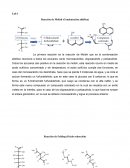 Mecanismo de reacción bioquímica