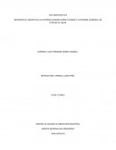 CONTROL DE CALIDAD EN CONFECCION INDUSTRIAL