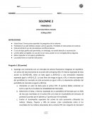 Pauta caso Consultoría