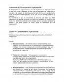 IMPORTANCIA DEL COMPORTAMIENTO ORGANIZACIONAL