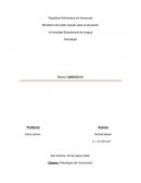 Influencers: La nueva fuerza de compra del siglo XXI