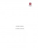 Falabella Propuesta Mejorada