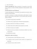 Auditoría La empresa Central Industries INC