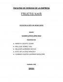 FRUCTIS HAIR INVESTIGACIÓN DE MERCADOS