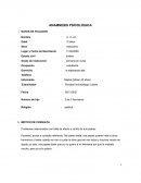 ANAMNESIS PSICOLÓGICA