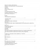 PRÁCTICA BÁSICA PROFESIONAL EMPRESA: WIT INNOVACIÓN Y TECNOLOGÍA SPA