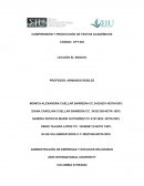 Ensayo la violencia contra la mujer