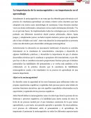 La importancia de la metacognición y su importancia en el aprendizaje