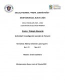 Investigación escolar de Tonucci