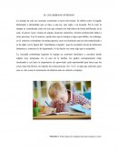 El colombiano avispado