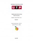 Gestión de Proyectos Democitrus Yogurt de la empresa AQUA SAC