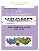 METODOLOGÍA DE LA AUDITORÍA GUBERNAMENTAL