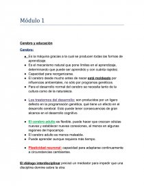 Cerebro y educación. Página 1