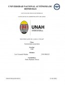 Identificación de la RGI a utiliar