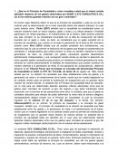 Qué es el Principio de Causalidad y cómo considera usted que el mismo resulta aplicable respecto de los gastos observados por SUNAT a XYZ CONSULTING E.I.R.L y/o si los mismos guardan relación con su giro o actividad ?