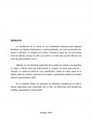 Arquitectura de la marca