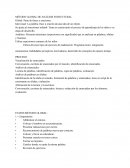 MÉTODO GLOBAL DE ANÁLISIS ESTRUCTURAL