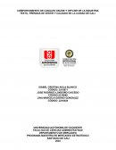 Trabajo final Comportamiento de canales online y offline de la industria textil