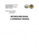 METABOLISMO BASAL Y HORMONAS TIROIDEA