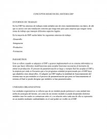 CONCEPTOS BÁSICOS DEL SISTEMA ERP. Página 1