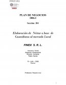 FINEX S.R.L PLAN DE NEGOCIOS