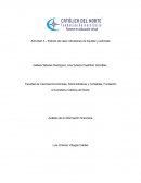 Análisis de la información financiera. Estudio de caso indicadores de liquidez y actividad