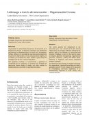 Liderazgo a través de innovación – Organización Corona