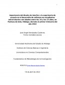 Importancia del diseño de interfaz y la experiencia de usuario en el desarrollo de software en estudiantes universitarios con edades entre los 18 y los 25 años