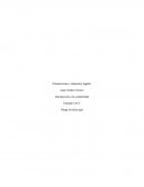 Trabajo de contabilidad empresa Denta