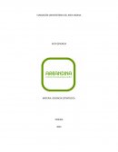 LAS ESTRATEGIAS COMPETITIVAS DE MICHAEL PORTER Y MINTZBERG