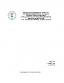 Cuadro comparativo-neurociencias