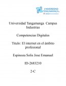 El internet en el ámbito profesional