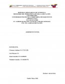 Agroecologia de cultivos y cria de animales