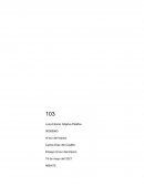 Al sur del tropico, Carlos Díaz del Castillo