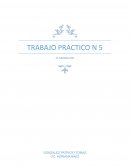 TRABAJO PRACTICO N 5 EL MONACATO