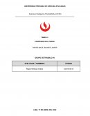 ¿Cuáles fueron los diferenciadores de Deloitte?