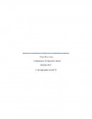 Impacto en la economia de la gestion de las competencias laborales