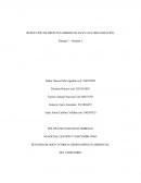 REDUCCIÓN DE IMPACTOS AMBIENTALES EN UNA ORGANIZACIÓN