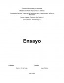 Ensayo sobre la comunicación