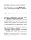 Circuitos y redes