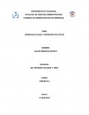 DERECHOS CIVILES Y DERECHOS POLITICOS