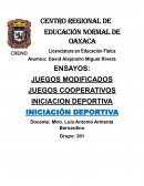 Ensayos Iniciación Deportiva