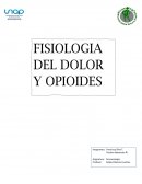 Fisiologia del dolor y opiaceos