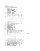 PROYECTO DE INVESTIGACION empresa textil Camones S.A