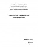 Caso Práctico sobre la Teoría de Katz-Kahn