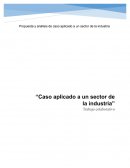Propuesta y análisis de caso aplicado a un sector de la industria textil en Colombia