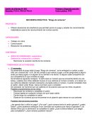 Secuencia didactica: bingo de numeros