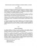 Muestra del estudio, aspectos metodológicos, principales resultados y conclusión