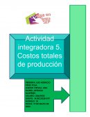 Actividad integradora 5 Costos totales de producción