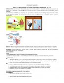 OBSERVACIÓN DE LOS SISTEMAS RESPIRATORIOS DE MAMIFERO, AVE Y PEZ